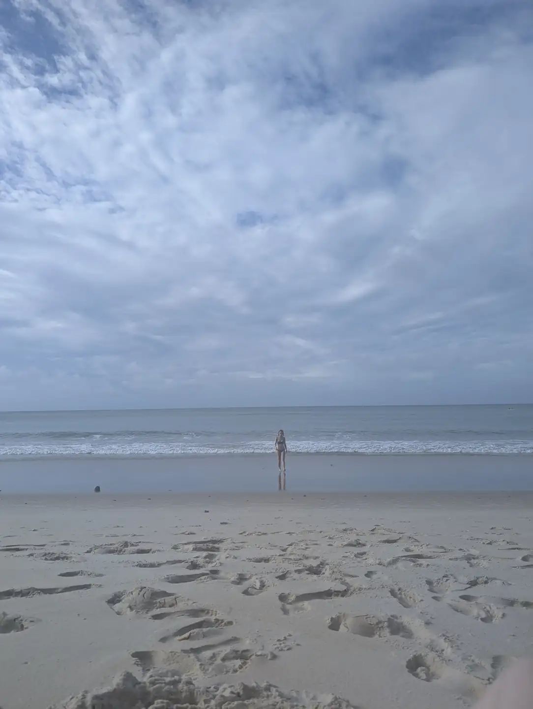1000012846.webp